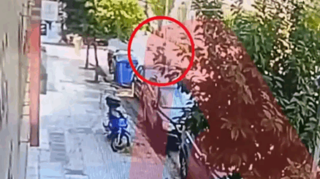 sokaristiko-vinteo-michani-karfothike-se-fortigo-stin-kaisariani-nekri-i-25chroni-synodigos-391592