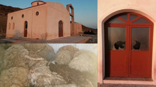 mystiriodes-egklima-sti-serifo-27-zoa-nekra-ieros-naos-vevilomenos-ti-kryvetai-piso-apo-ti-friki-397822