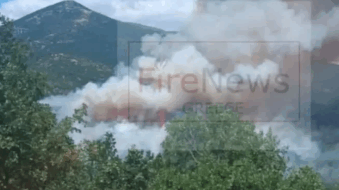 ektakto-ekkenothike-katafygio-me-55-paidia-logo-tis-megalis-fotias-se-dasos-sti-skala-399277