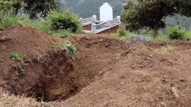 to-ethapsa-zontano-gia-na-echei-to-allo-parea-i-tpomaktiki-istoria-toy-vasili-takoy-poy-skotose-ta-paidia-toy-391516