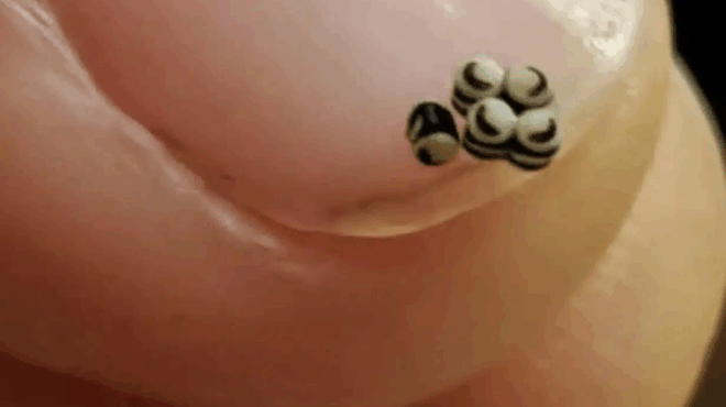 paraggeilame-mia-salata-alla-ypirchan-auta-ta-mikra-mayra-sto-fagito-pigame-kateytheian-sto-nosokomeio-392920