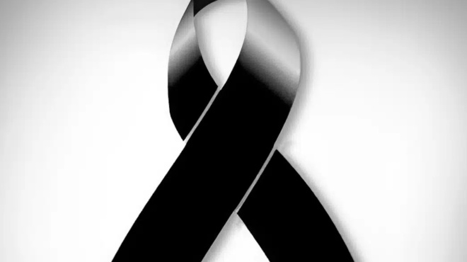 pethave-xafvika-agapimeni-ellinida-ithopoios-394123