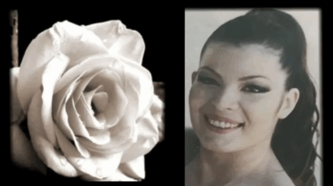 efyge-toso-xafnika-i-chamogelasti-stella-408006