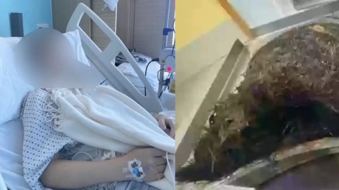 mitera-emeine-afoni-me-tin-anakalypsi-ton-giatron-i-dysanexia-tis-koris-tis-sti-gloyteni-itan-stin-pragmatikotita-402490