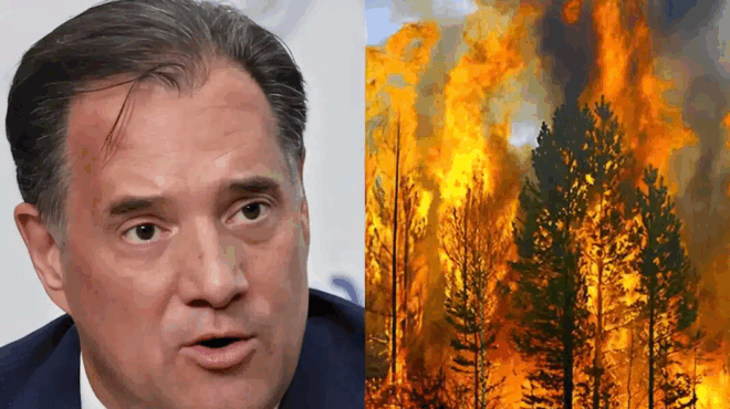 georgiadis-ta-dasi-kaigontai-apo-tin-idrysi-toys-einai-mia-fysiki-diadikasia-403709