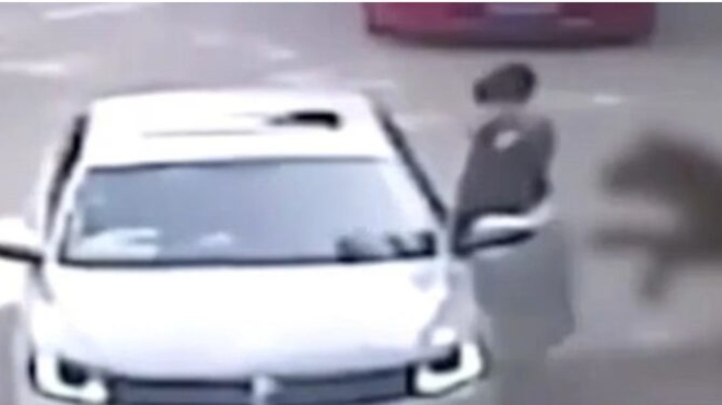 friki-se-safari-kare-kare-i-stigmi-poy-tigri-arpazei-gynaika-mprosta-stin-oikogeneia-tis-nekri-i-mitera-tis-poy-prospathise-na-ti-sosei-404845