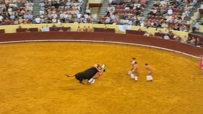 tayros-skotose-22chrono-tayromacho-stin-arena-i-sokaristiki-stigmi-407449