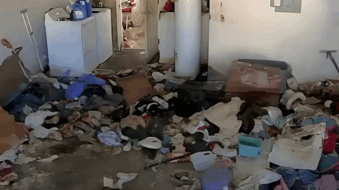 vasiliades-tis-akatastasias-poia-einai-ta-3-pio-anorganota-zodia-403070