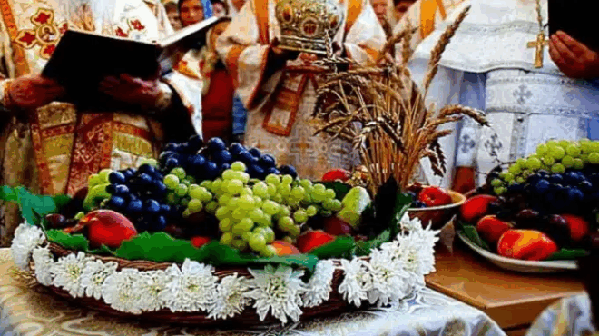 6-aygoystoy-metamorfosi-toy-sotiros-giati-eylogoyntai-ta-stafylia-401228