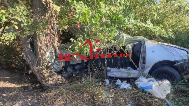 tragodia-stin-pieria-nekri-9chroni-se-trochaio-sovara-traymaties-i-mitera-kai-i-11chroni-aderfi-tis-407758