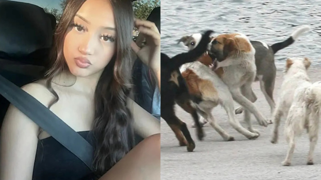 tin-katasparaxan-auti-eivai-i-atychi-17chroni-mathitria-poy-tis-epitethike-ageli-skylon-stin-geitonia-tis-402568