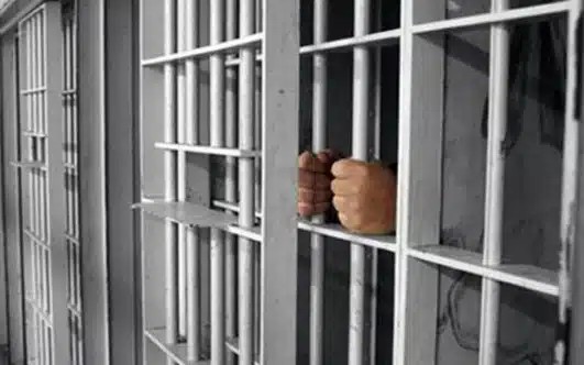 nekros-sti-fylaki-o-dolofonos-poy-sygklonise-to-panellinio-404176