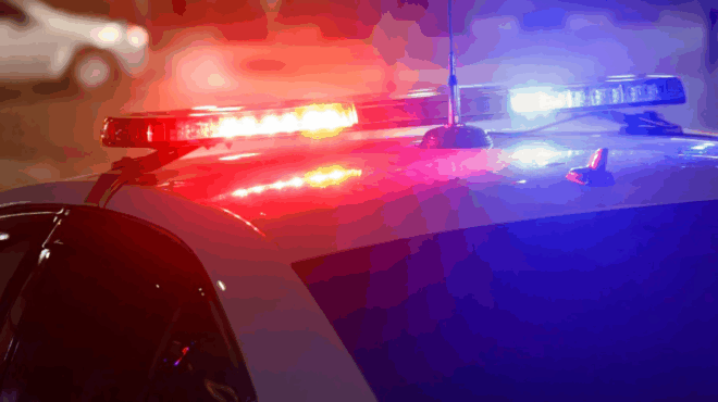 ektakti-eidisi-amp-8211-megalo-sok-dolofonisan-tin-egkyo-kopi-tis-petys-georgopoyloy-404097