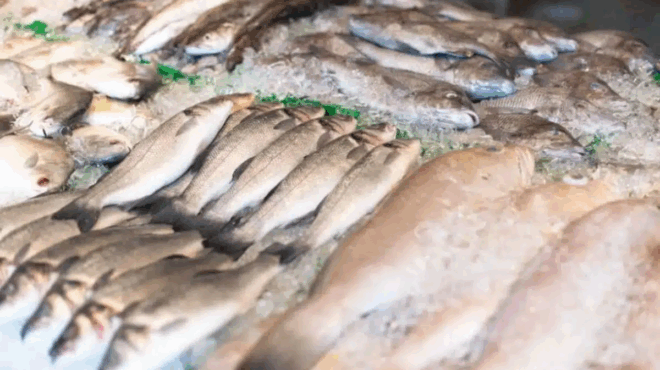 oyte-tonos-oyte-solomos-to-psari-poy-mpainei-se-kathe-elliniko-spiti-kai-einai-gemato-ydrargyro-409841