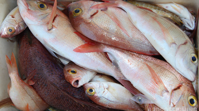 oyte-tonos-oyte-solomos-to-psari-poy-mpainei-se-kathe-elliniko-spiti-kai-einai-gemato-ydrargyro-409732