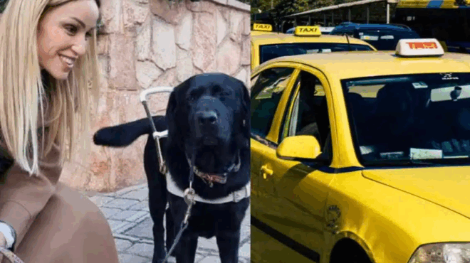 odigos-taxi-arnithike-stin-tyfli-paraolympioniki-karolina-pelendritoy-na-echei-mazi-tis-ton-skylo-odigo-tis-410870