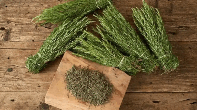 pos-na-ftiaxete-ladi-dendrolivanoy-gia-tin-anakoyfisi-apo-toys-ponoys-se-myes-kai-arthroseis-410932