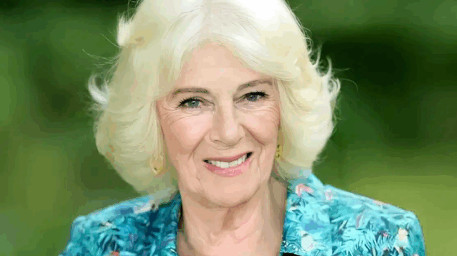 thyma-parenochlisis-i-vasilissa-kamila-evgala-to-takoyni-kai-ton-chtypisa-409710