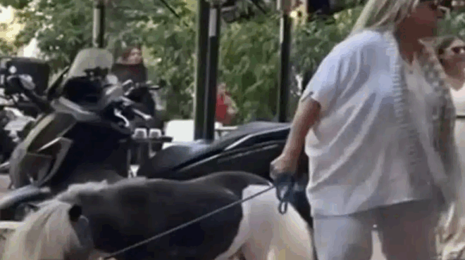 gynaika-evgale-volta-to-pony-tis-sto-kentro-tis-athinas-416641