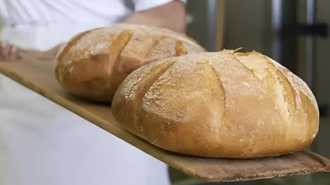 loyketo-se-1500-foyrnoys-stin-ellada-o-sovaros-logos-410365