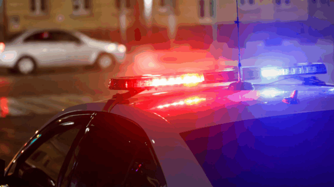 agria-dolofonia-34chronis-amp-8211-eiche-mpleximata-409170