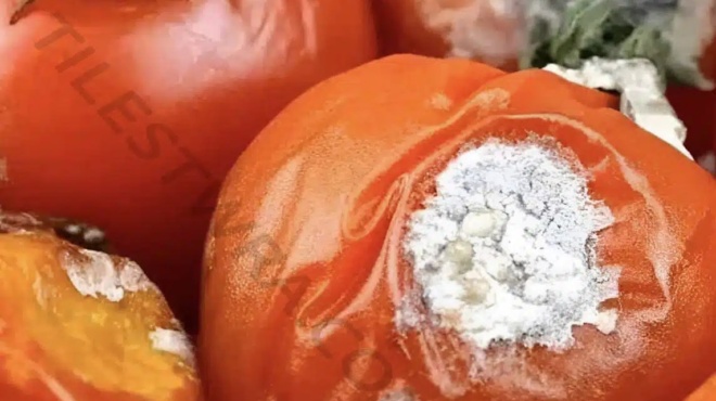 min-petate-tis-chalasmenes-ntomates-echoyn-4-chrisimes-chriseis-poy-tha-sas-ekplixoyn-408861