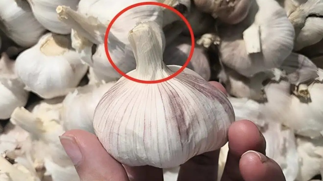 to-skordo-poleitai-stin-agora-alla-an-deite-aytes-tis-4-skelides-min-toys-parete-akoma-kai-an-einai-dopean-416160