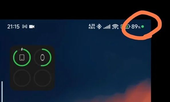 to-simadi-poy-sychna-paravlepoyme-alla-prepei-oloi-na-gnorizoyn-ti-simainei-i-prasini-koykkida-sta-kinita-413390