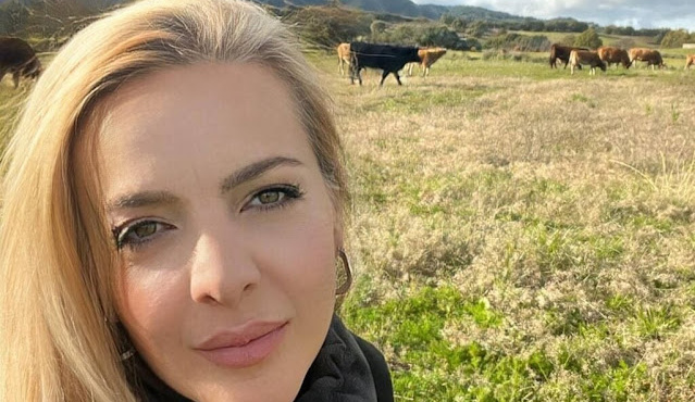 desmeyontai-perioysiaka-stoicheia-tis-semertzidoy-ferrari-porsche-30-aytokinita-kai-11-akinita-413016