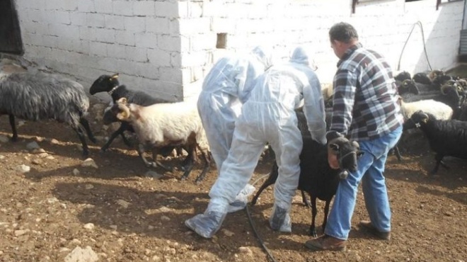 dramatiki-dilosi-amp-8220-an-den-petychoyn-ta-metra-tha-pame-se-lockdown-amp-8221-413184