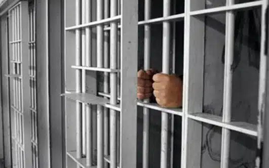 nekros-sti-fylaki-o-dolofonos-poy-sygklonise-to-panellinio-416741