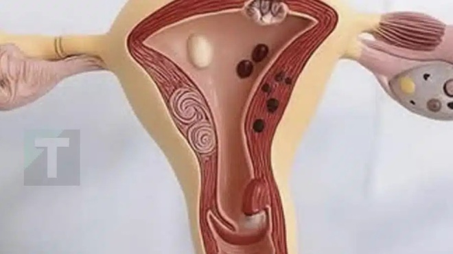 ayto-symvainei-sto-soma-sas-otan-stamatate-na-echete-epotikes-scheseis-410147