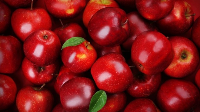 ayto-poy-kaneis-den-soy-eipe-gia-ta-mila-mia-fysiki-aspida-423628