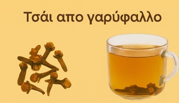 tsai-garyfalloy-to-mikro-thayma-tis-fysis-poy-mporei-na-allaxei-tin-ygeia-soy-425598