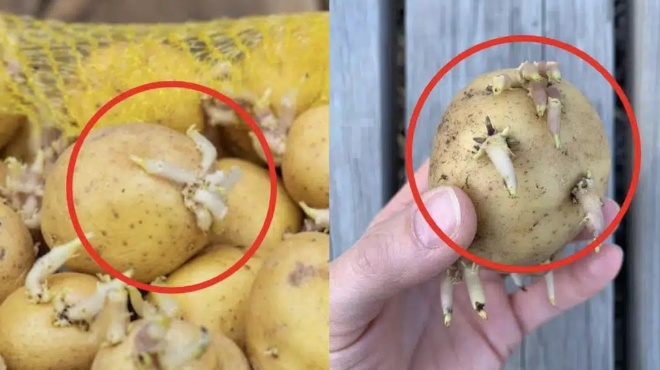 fytromenes-patates-o-siopilos-echthros-stin-koyzina-sas-poy-mporei-na-vlapsei-tin-ygeia-sas-418226