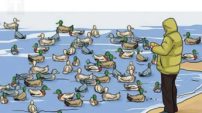 an-mporeite-na-entopisete-ti-den-paei-kala-se-ayti-ti-fotografia-eiste-dianoies-425934