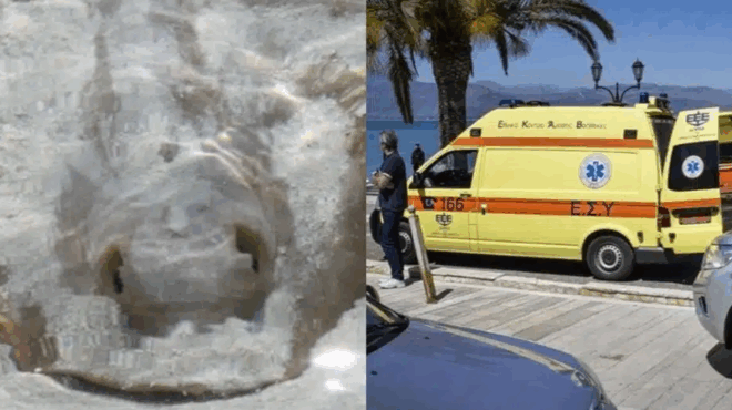 pagosan-loyomenoi-sto-agrinio-ekane-voytia-kai-xafnika-archise-na-oyrliazei-apo-pono-molis-eidan-ti-tin-tsimpise-420355