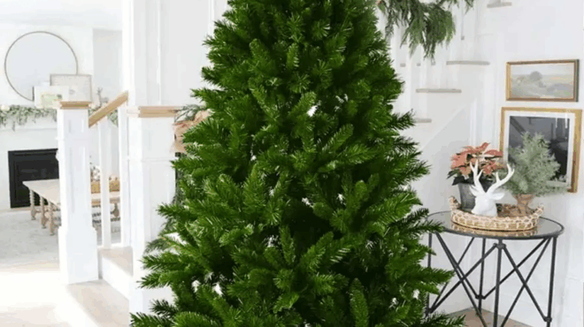 prin-stoliseis-psekase-ayto-sto-christoygenniatiko-dentro-kai-tha-patheis-sok-me-tin-vroma-poy-tha-vgalei-amp-8211-to-yliko-poy-tha-to-kanei-kainoyrgio-422600