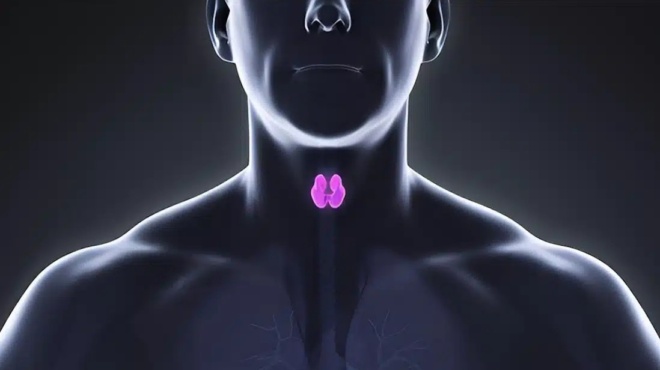 ferritini-kai-sidiros-poia-symptomata-syndeontai-me-ti-chamili-ferritini-i-schesi-toys-me-ton-thyreoeidi-amp-8211-sto-1o-scholio-425925