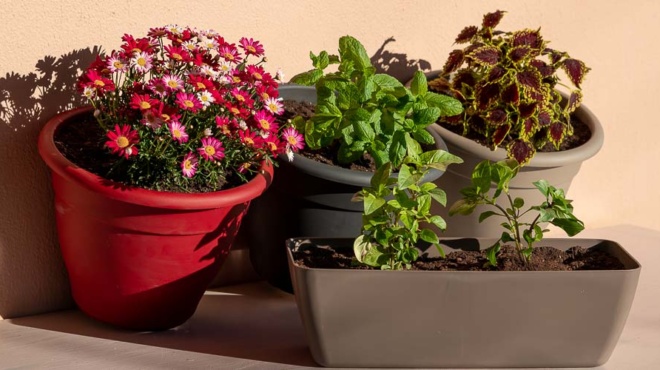 stamatiste-na-petate-tis-palies-plastikes-glastres-10-katapliktikoi-tropoi-na-tis-chrisimopoiisete-425498