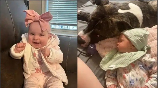 se-sok-mitera-vrefoys-katasparaxe-to-7-minon-koritsaki-tis-den-tha-katalavo-pote-giati-419738