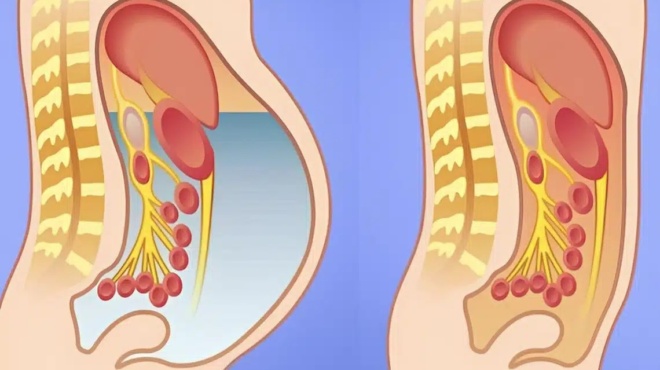 fysikoi-lipodialytes-8-trofes-gia-apotoxinosi-sto-sykoti-kai-grigori-apoleia-varoys-423141