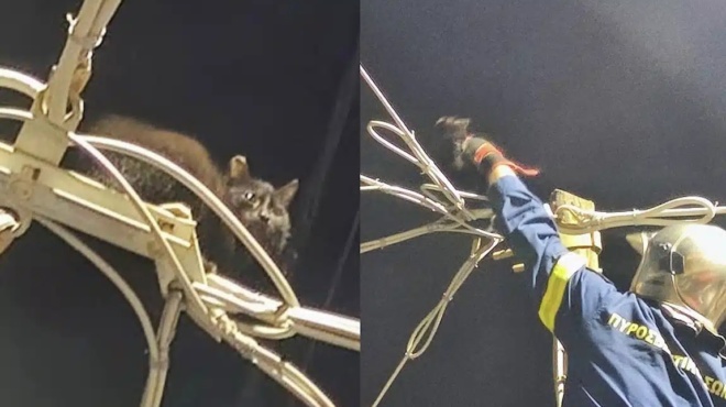 pyrosvestes-esosan-gataki-poy-eiche-skarfalosei-se-kolona-toy-ote-433565