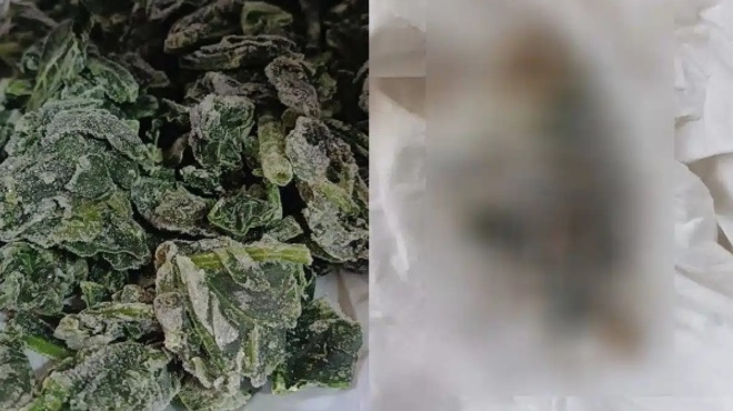 nekro-pontiki-se-elliniko-katepsygmeno-spanaki-pasignostis-etaireias-433976