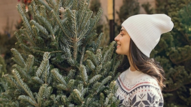 ta-dyo-meri-poy-den-prepei-na-apothikeyete-to-christoygenniatiko-dentro-amp-038-to-lathos-poy-kanoyn-kathe-chrono-oloi-434589