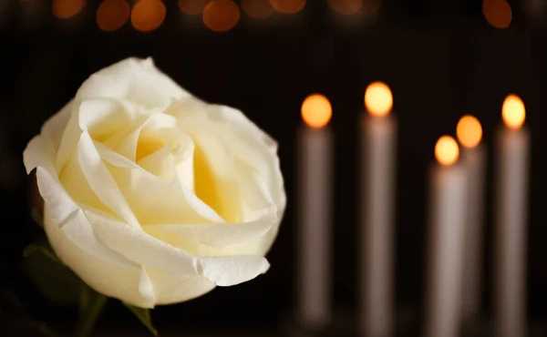 megali-flipsi-tora-428931