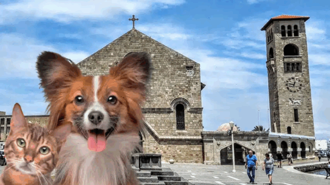 theia-leitoyrgia-kai-agiasmos-gia-skyloys-kai-gates-sti-rodo-tin-pempti-429398