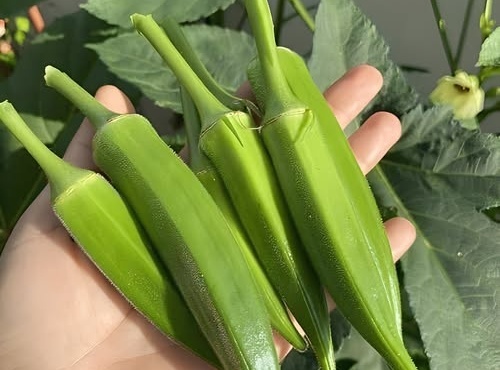 oi-giatroi-apokalyptoyn-oti-i-katanalosi-mpamion-prokalei-428009