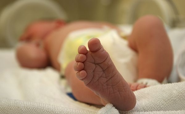 sok-xana-stin-chora-mas-neos-mystiriodis-thanatos-vrefoys-stin-patra-me-melana-simeia-stin-pragmatognomosyni-427320