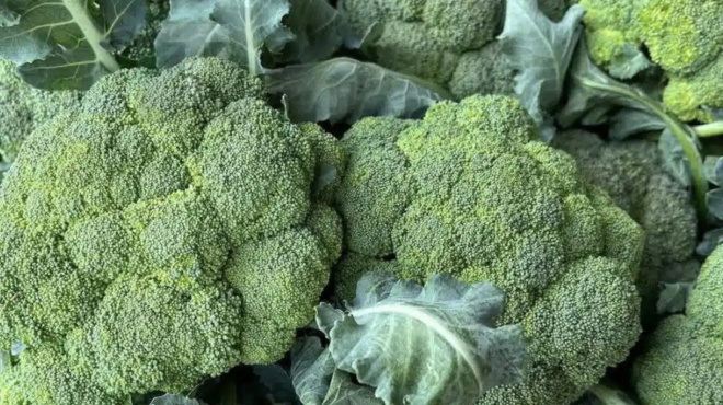 oi-giatroi-apokalyptoyn-oti-i-sychni-katanalosi-prasinoy-mprokoloy-prokalei-428348